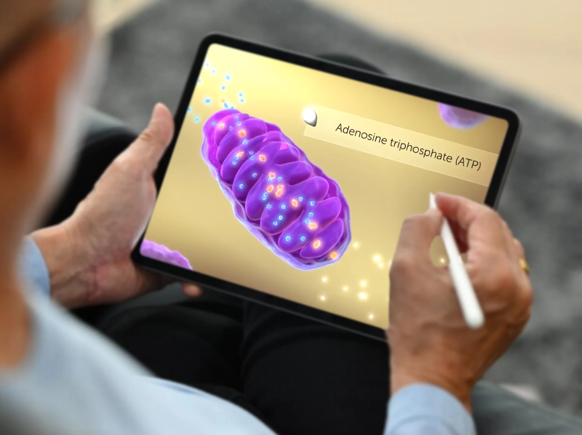 accera-ipad-inset17-hd